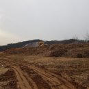 행운벌목