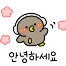 오늘도왕짜장 이미지
