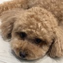 오작교밥상 이미지