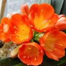 환희세탁소 이미지