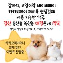 의약품결제카카오페이