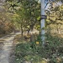 임진낚시캠핑 이미지