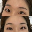 자연환경(유) | 제이아우라메이크업앤빛나유x앙벨리르 수원점 속눈썹 연장 후기,수원 호매실 속눈썹 연장 추천
