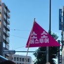 [go] 일본 감성 교토, 나라 투어