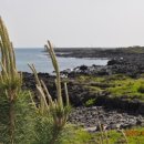 길인목장 이미지