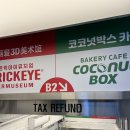🛍️홍대 LOOF | 패션잡화부터 가성비 좋은 의류까지 쇼핑 한 곳에서 해결하기