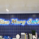 블루몽 스윔 이미지