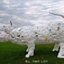 황소-유토피아 이미지