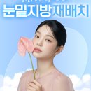 제우스성형외과의원 네이버블로그