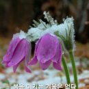 싱그로운 이미지