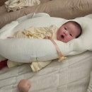 (주)비알뇌교육 | 2026 육아일기 #6주차 | 똑게육아 읽고 시작한 신생아 수면교육 성공 후기