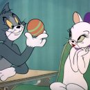 톰과제리 이미지