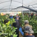 중문농업협동조합강정지점 이미지