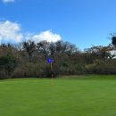 부여골프랜드 이미지