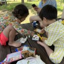 대도매점 - 구미시 수출대로9길 39 | 대도매점