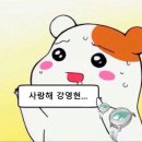 케이투어 이미지