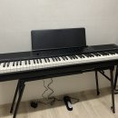 [프돈프산] 입문용 디지털 피아노 추천 : 커즈와일 Kurzweil KA-E1