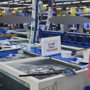 매천로 | [대구 수산물 매천시장] 신화수산 88번집 새우가격 및 활어회1센터 방문후기