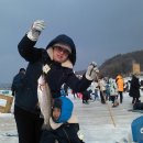 평창송어축제 이미지