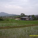 방매정미소