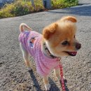 이츠펫(청당점) 이미지