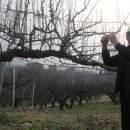 배골농장 이미지