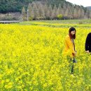 찬물내기 이미지