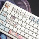 키보드 포인트 PBT 키캡 아사노 탄치 세트 후기 (예쁨 주의)