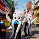 서산낙지 이미지