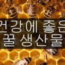 벌꿀양봉 이미지