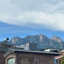 예와손만두 이미지