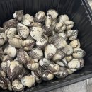 벌교택배2 이미지