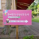 구미곤충산업농장 이미지