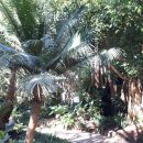 여미지식물원 이미지