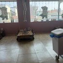 죽변북로 (중2-1) | [울진군 죽변 맛집] 죽변 고기본부 점심특선 방문후기✨_울진고기본부/죽변고기본부/죽변고기본부점심