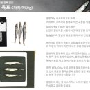 신선화학