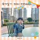 드림복싱클럽 | D+964-993 육아일기 32개월 일상 기록