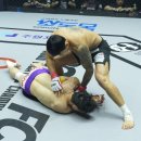 ORIGINAL MMA GYM 이미지