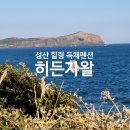 히든자왈