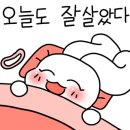 불이동천 네이버블로그