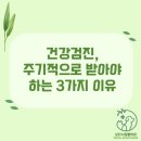 보타닉동물병원 이미지