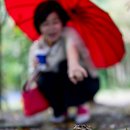 서면의숲 이미지