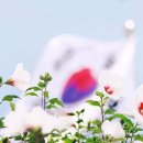 운정채한의원 네이버블로그