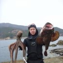 미조면 항도 이미지