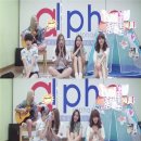 러브데이(luv day)