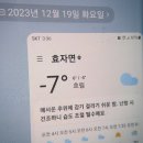 구광터 산행 10일만에 상황버섯 산행.133 이미지