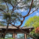 이대감순대국 이미지