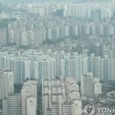 부동산경매 심화 이미지