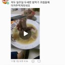 한우인생 이미지
