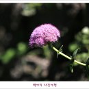산성큰 이미지